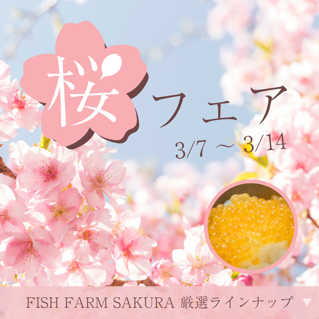 桜フェア開催！【3月7日～3月14日】